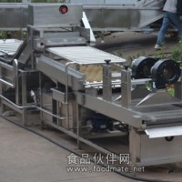 诸城鼎诚大枣清洗风干线