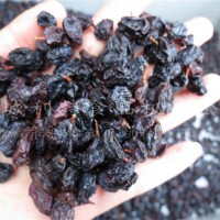 葡萄干气泡清洗机 玉米去须清洗机  多功能清洗设备厂家直销