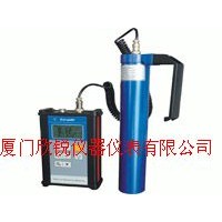 辐射环境监测仪DH80CP-SE