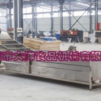 大洋牌厂家直销仿手工洗菜机 经济实惠的网带输送式气泡清洗机