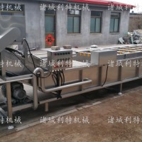 木耳清洗机 木耳清洗加工设备 木耳清洗流水线