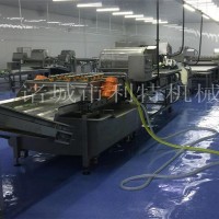毛菜清洗净菜加工流水线 净菜加工成套设备 净菜加工生产线