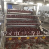 脆枣气泡清洗机 若羌红枣气泡清洗机 利特大枣加工设备