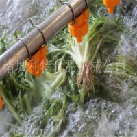 红辣椒清洗机 大枣喷淋清洗机 多功能清洗机 清洗设备