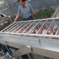 毛辊枣子清洗 大枣加工设备  枣子清洗线诸城利特