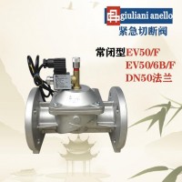 EV50F EV50/6BF意大利朱丽安尼电磁阀