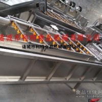 东北黑木耳清洗机 干木耳去石清洗机 木耳深加工设备