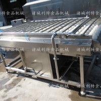 多功能喷淋清洗机 土豆喷淋清洗机型号  果蔬喷淋清洗设备