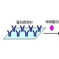 低价供应：食品农兽残等快速检测系列产品（十余家品牌代理）