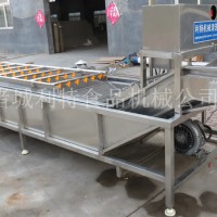 多功能叶菜气泡清洗机  果蔬臭氧清洗机
