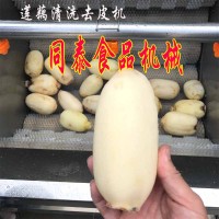 专业去莲藕皮机器 果蔬毛刷清洗去皮机