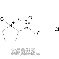 益母草柱