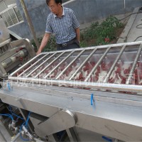 节能节水大枣清洗机 菠菜气泡清洗机  多功能清洗机厂家