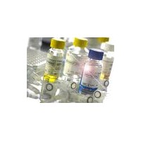 羊激素敏感性脂肪酶(HSL)ELISA Kit