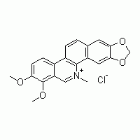白屈菜红碱  白屈菜季铵碱;白屈菜赤碱