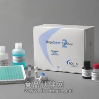 大鼠嗜酸粒细胞趋化因子(ECF)ELISA试剂盒