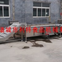 蔬菜粗加工清洗线 果蔬加工清洗线 叶类菜清洗流水线