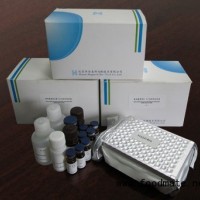 呕吐霉素检测试剂盒