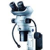 木材细胞显微镜奥林巴斯SZX7体视显微镜