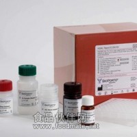 E选择素(E-Selectin/CD62E)ELISA试剂盒【酶联免疫法】