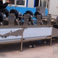 芸豆清洗机/速冻果蔬加工设备