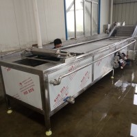 梅干菜双层网带漂烫机生产厂家诸城鼎诚机械