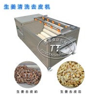 厂家直销不锈钢多功能果蔬去皮机 大姜清洗机 洗生姜机器
