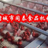 大枣、红枣清洗机，枣类专业毛刷清洗设备