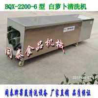 小型洗白萝卜机器全自动白萝卜毛刷清洗机水洗山药红薯土豆机
