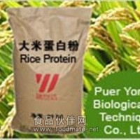 厂家直销高品质大米蛋白 粉