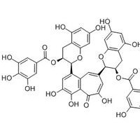 茶黄素-3,3'-双没食子酸酯 33377-72-9 对照品 标准品 g级品 HPLC≥98%