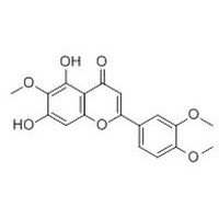 异泽兰黄素 对照品 标准品 g级品 HPLC≥98%