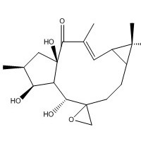 环氧续随子醇 28649-60-7 对照品 标准品 HPLC≥98%