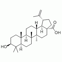 表白桦脂酸 对照品 标准品 HPLC≥98%