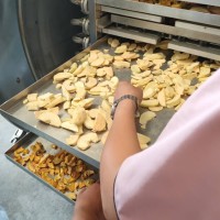 真空冻干机  口蘑真空冻干机设备 蔬菜包低温脱水冻干设备