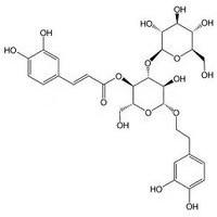 大车前苷 大车前甙 HPLC≥98%