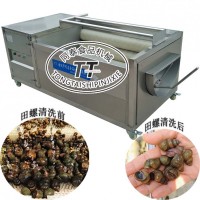小型田螺清洗机多功能洗牡蛎蛤蜊清洗毛刷机