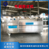 厂家直销毛刷清洗机 辊刷式土豆清洗机 根茎类果蔬毛辊洗菜机