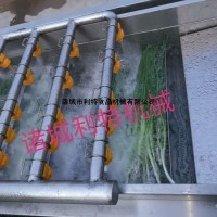长条蔬菜粗加工长叶菜清洗机 气泡蔬菜清洗加工线