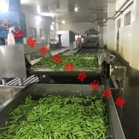 蕨菜清洗漂烫机 山野菜连续漂烫机 利特果蔬漂烫设备