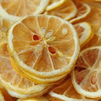 供应厂家直销柠檬片烘干机