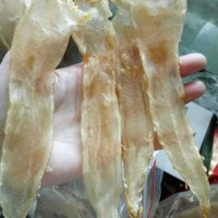 鱼胶烘干机厂家包安装
