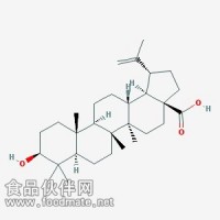 白桦脂酸Betulinic acid 472-15-1 对照品