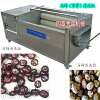 马蹄清洗机芋艿毛刷清洗机根茎类清洗去泥机