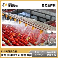 水果果蔬果汁生产线番茄汁NFC纯果汁成套生产线