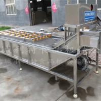 葡萄干全自动清洗机  葡萄干清洗机  葡萄清洗加工机器