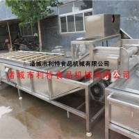 洗豆机 黄豆清洗机 黄豆酱豆类清洗机可去石过滤去杂质