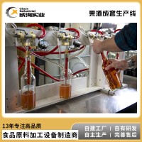 果酒成套生产线 各种水果果酒生产设备 加工定制