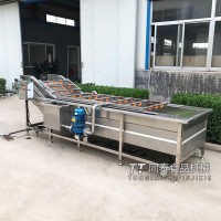 大枣气泡清洗机 叶菜类自动气泡清洗机 商用瓜果清洗设备