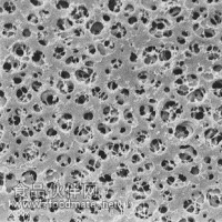 醋酸纤维素微孔滤膜/CA滤膜
